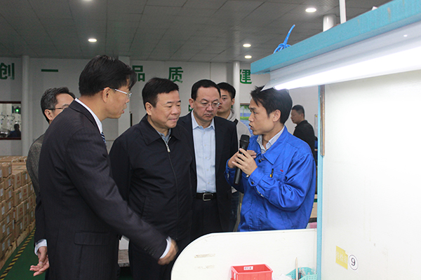 Chen Fei, Vice Governor of Hunan Province, visited CYGE