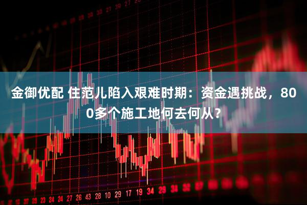 金御优配 住范儿陷入艰难时期：资金遇挑战，800多个施工地何去何从？