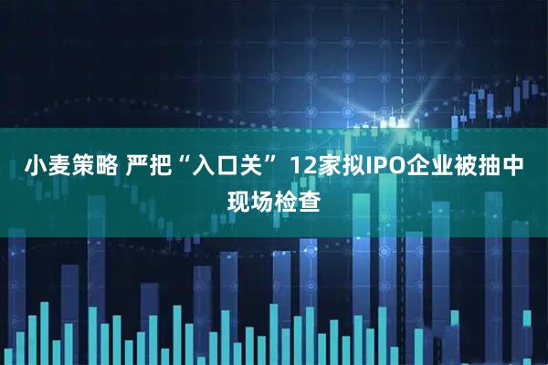 小麦策略 严把“入口关” 12家拟IPO企业被抽中现场检查