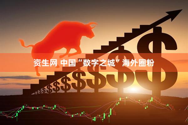 资生网 中国“数字之城”海外圈粉
