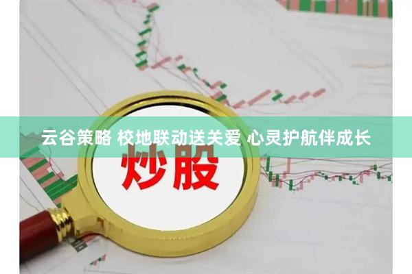 云谷策略 校地联动送关爱 心灵护航伴成长